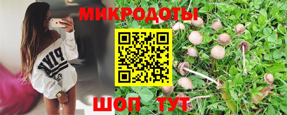 Жуковский  Псилоцибиновые грибы ЛСД  как найти наркотики  Вход с VPN 