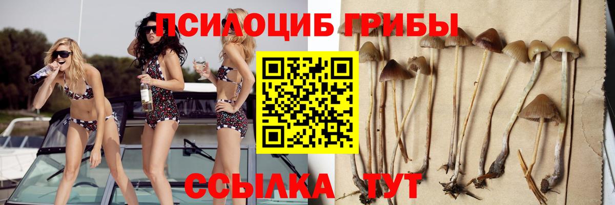 Псилоцибиновые грибы ЛСД Жуковский